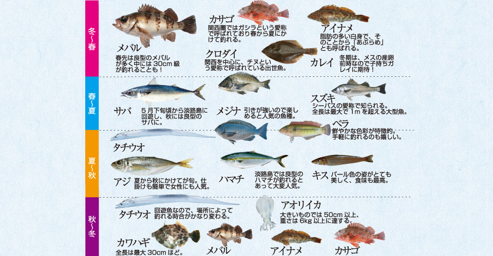 魚種多彩