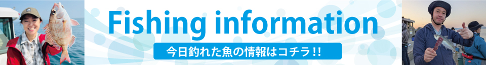 釣果情報