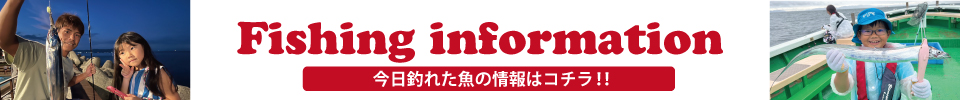 釣果情報