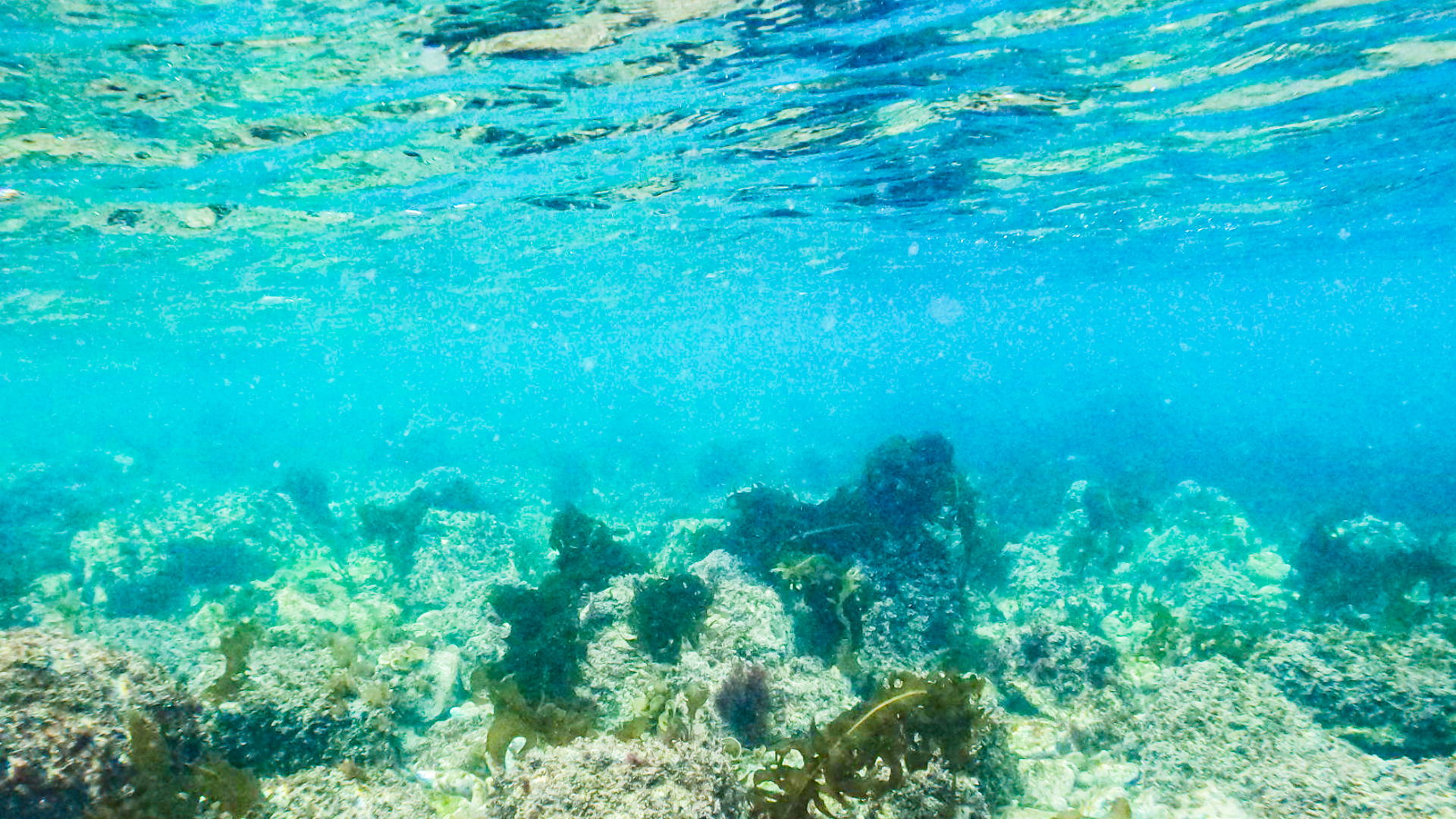 光が差し込む浅い海