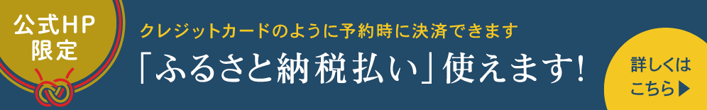 まちのわふるさと納税払い、公式HP限定で使えます