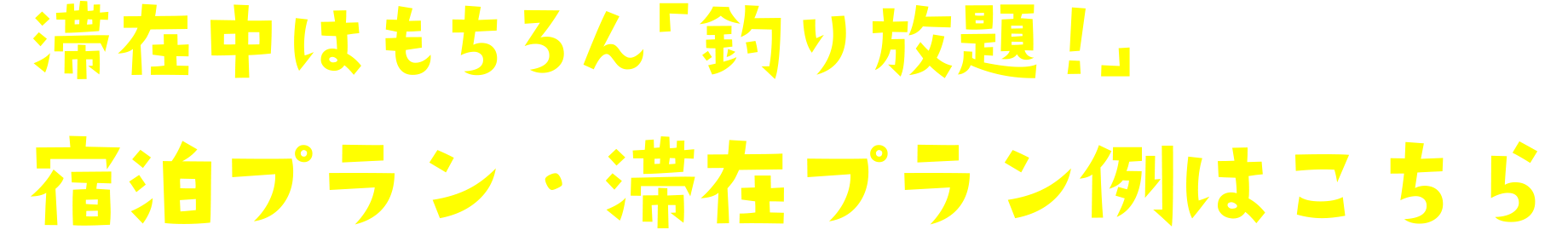 滞在中はもちろん「釣り放題！」宿泊プラン・滞在プラン例はこちら